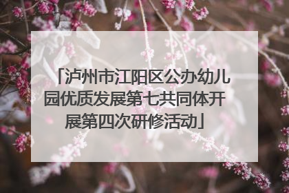 泸州市江阳区公办幼儿园优质发展第七共同体开展第四次研修活动