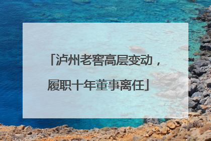 泸州老窖高层变动，履职十年董事离任