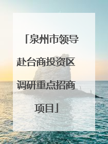 泉州市领导赴台商投资区调研重点招商项目