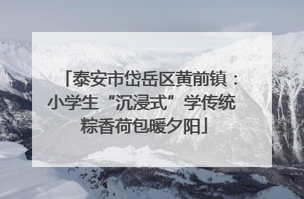 泰安市岱岳区黄前镇：小学生“沉浸式”学传统 粽香荷包暖夕阳