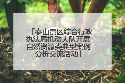泰山景区综合行政执法局机动大队开展自然资源类典型案例分析交流活动