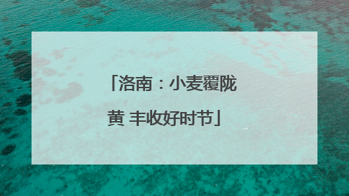 洛南：小麦覆陇黄 丰收好时节