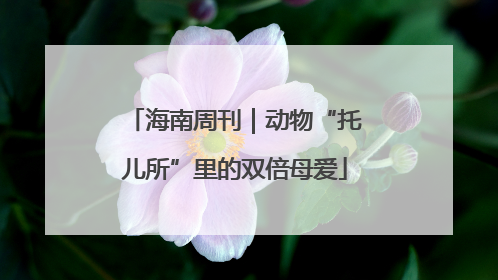 海南周刊｜动物“托儿所”里的双倍母爱