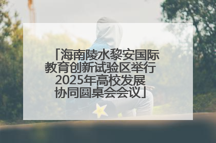 海南陵水黎安国际教育创新试验区举行2025年高校发展协同圆桌会会议