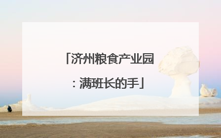 济州粮食产业园：满班长的手