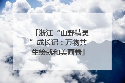 浙江“山野精灵”成长记：万物共生绘就和美画卷