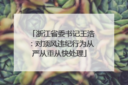浙江省委书记王浩：对顶风违纪行为从严从重从快处理
