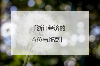浙江经济的首位与新高