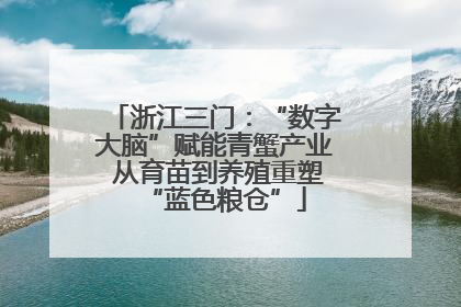 浙江三门：“数字大脑”赋能青蟹产业 从育苗到养殖重塑“蓝色粮仓”