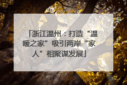 浙江温州：打造“温暖之家”吸引两岸“家人”相聚谋发展
