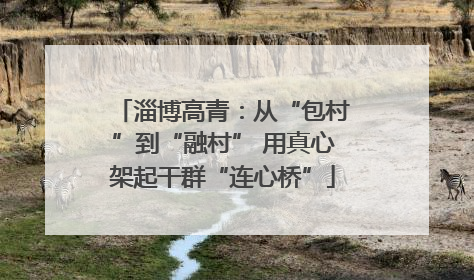 淄博高青：从“包村”到“融村” 用真心架起干群“连心桥”