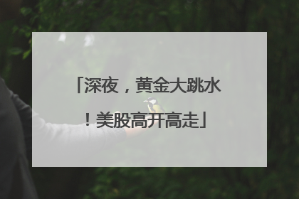 深夜，黄金大跳水！美股高开高走