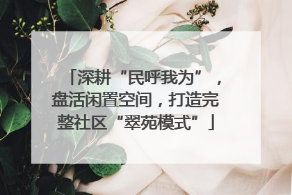 深耕“民呼我为”，盘活闲置空间，打造完整社区“翠苑模式”