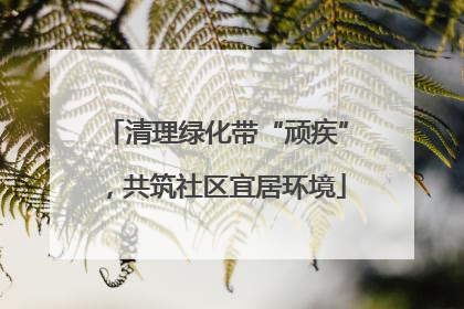 清理绿化带“顽疾”，共筑社区宜居环境
