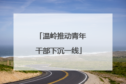 温岭推动青年干部下沉一线