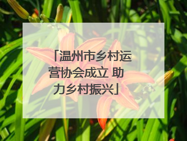 温州市乡村运营协会成立 助力乡村振兴