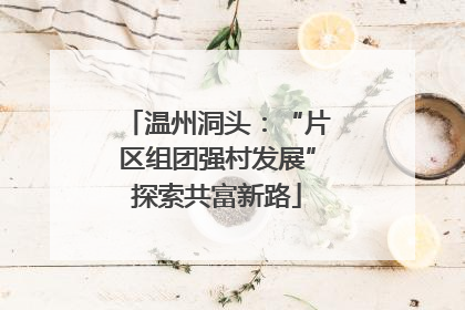 温州洞头：“片区组团强村发展”探索共富新路