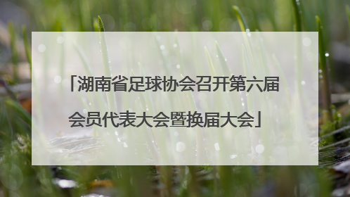 湖南省足球协会召开第六届会员代表大会暨换届大会