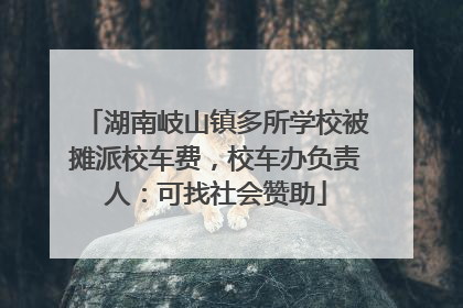 湖南岐山镇多所学校被摊派校车费，校车办负责人：可找社会赞助