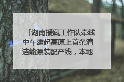 湖南援藏工作队牵线中车建起高原上首条清洁能源装配产线，本地大学生成车间检验员