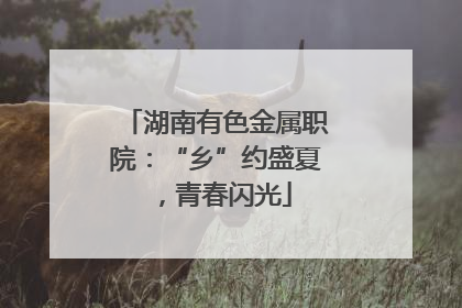 湖南有色金属职院：“乡”约盛夏，青春闪光
