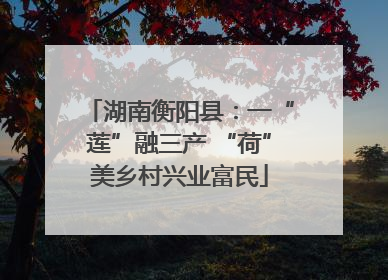 湖南衡阳县：一“莲”融三产 “荷”美乡村兴业富民