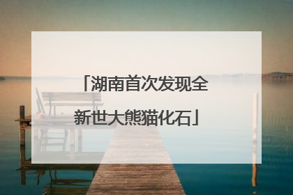 湖南首次发现全新世大熊猫化石