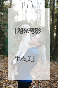 湖光鹭影生态美
