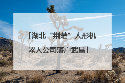 湖北“荆楚”人形机器人公司落户武昌