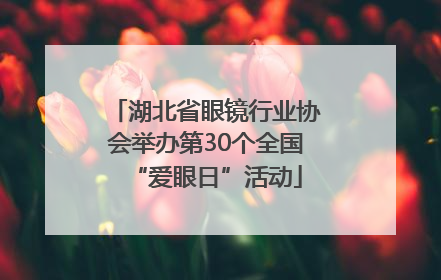 湖北省眼镜行业协会举办第30个全国“爱眼日”活动