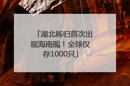 湖北秭归首次出现海南鳽！全球仅存1000只