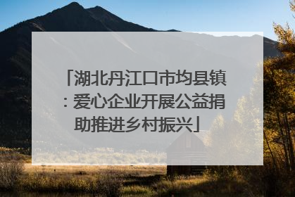 湖北丹江口市均县镇：爱心企业开展公益捐助推进乡村振兴