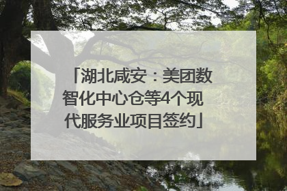 湖北咸安：美团数智化中心仓等4个现代服务业项目签约