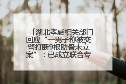 湖北孝感相关部门回应“一男子称被交警打断9根肋骨未立案”：已成立联合专班开展工作