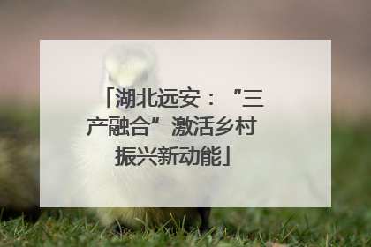 湖北远安：“三产融合”激活乡村振兴新动能