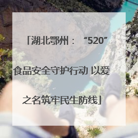 湖北鄂州：“520”食品安全守护行动 以爱之名筑牢民生防线