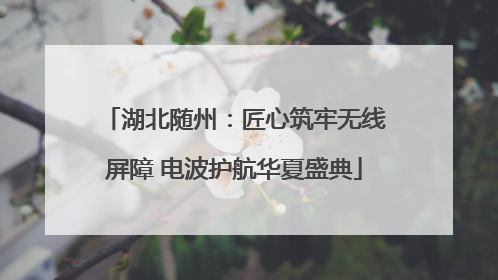 湖北随州：匠心筑牢无线屏障 电波护航华夏盛典