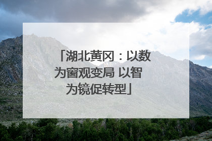 湖北黄冈：以数为窗观变局 以智为镜促转型