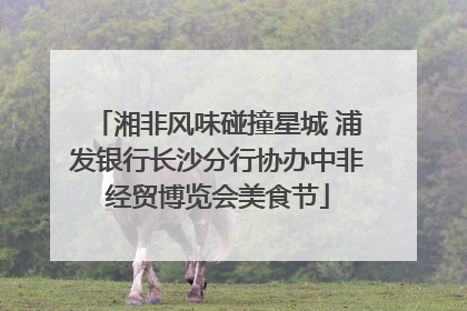 湘非风味碰撞星城 浦发银行长沙分行协办中非经贸博览会美食节