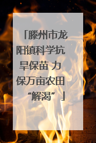滕州市龙阳镇科学抗旱保苗 力保万亩农田“解渴”