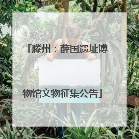 滕州：薛国遗址博物馆文物征集公告