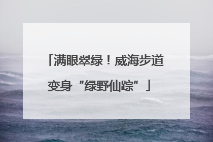 满眼翠绿！威海步道变身“绿野仙踪”