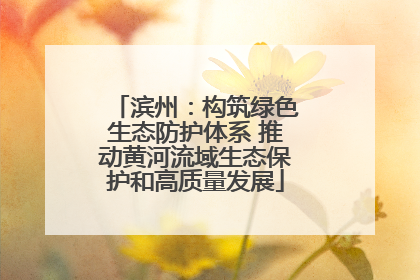 滨州：构筑绿色生态防护体系 推动黄河流域生态保护和高质量发展
