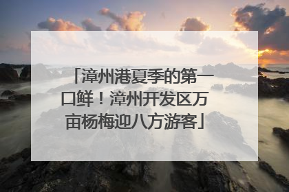 漳州港夏季的第一口鲜！漳州开发区万亩杨梅迎八方游客