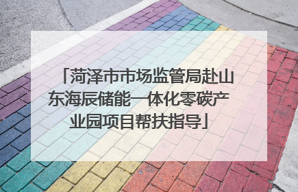 菏泽市市场监管局赴山东海辰储能一体化零碳产业园项目帮扶指导