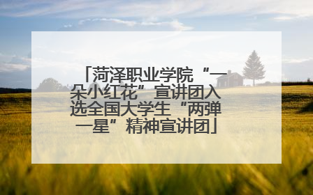 菏泽职业学院“一朵小红花”宣讲团入选全国大学生“两弹一星”精神宣讲团