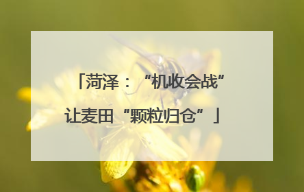 菏泽：“机收会战”让麦田“颗粒归仓”