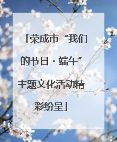 荣成市“我们的节日・端午”主题文化活动精彩纷呈