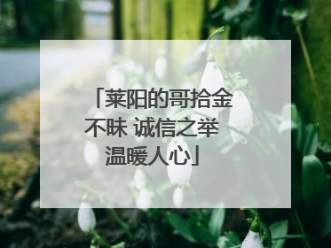 莱阳的哥拾金不昧 诚信之举温暖人心
