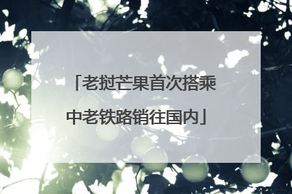 老挝芒果首次搭乘中老铁路销往国内